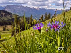 2025-05-17 Bizau Trail - 20250517_103225